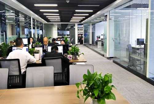 山東洗衣凝珠什么牌子的好用