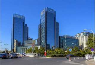 成都常見奇麟鮮品市場價(jià)